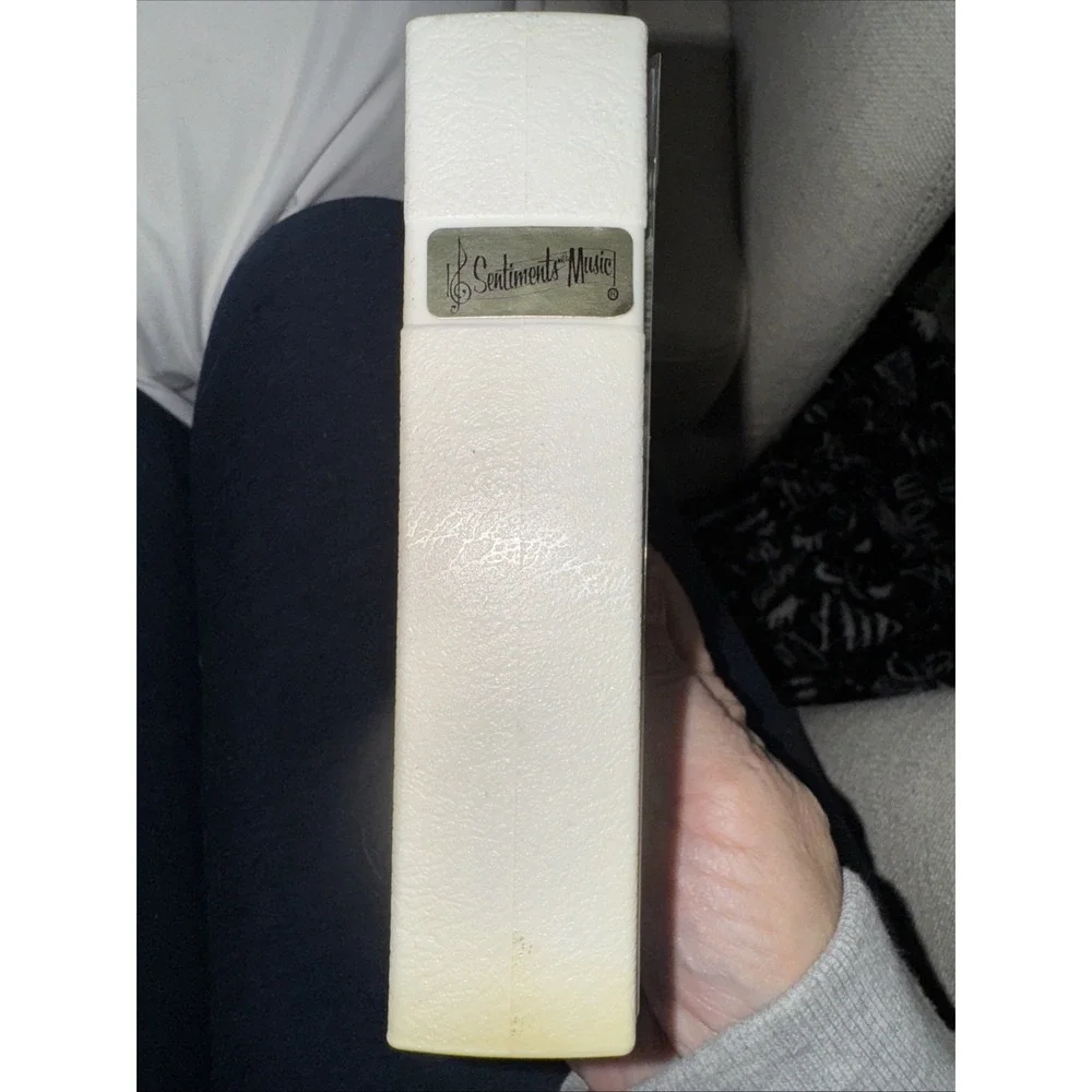 The Unbranded Brand vintage frosty